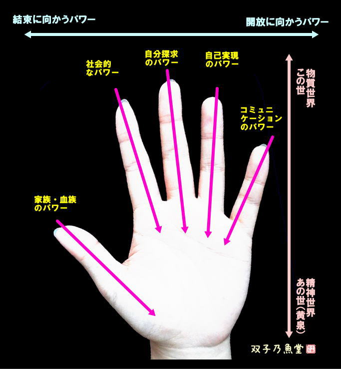 手相術での手のひらのパワー分布の考え方の図示