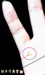 手相の見方。別居・離婚の相