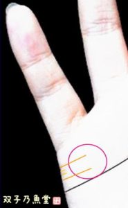 結婚線・離婚の相。再婚の可能性がある場合
